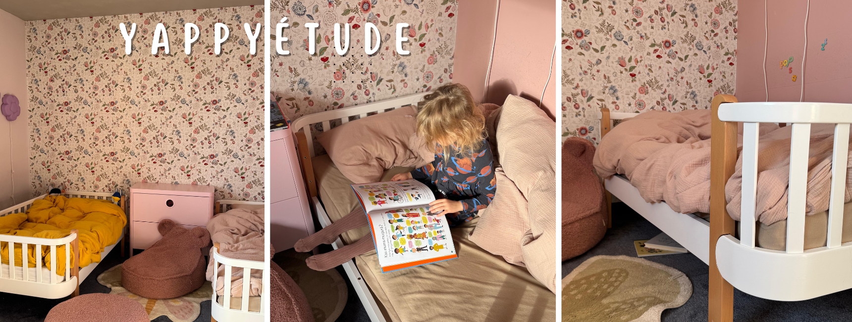ETUDE TODL DVINSKA