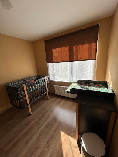 Vikija Brazdauska, Google Review